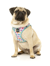 Candy Hearts Step In Harness